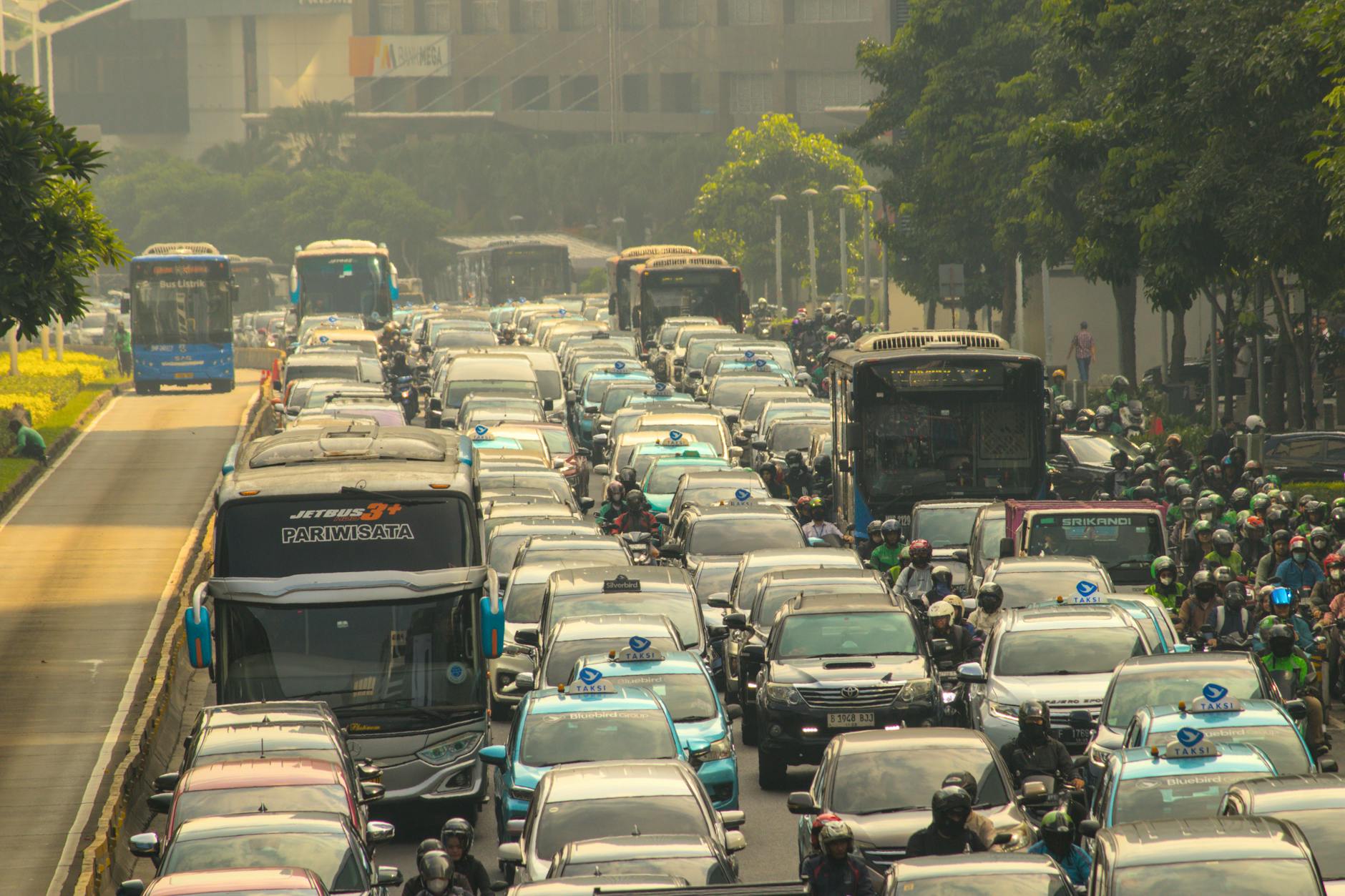 Esodo del 1 agosto: come sopravvivere al traffico